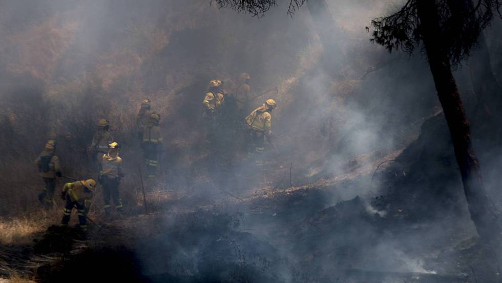 EL FUEGO EN EL PARQUE NACIONAL DE DOÑANA Y SUS RESPONSABLES