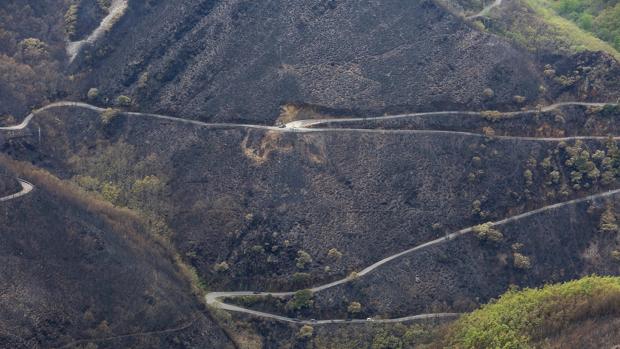 LA CABRERA Y EL DRAMA POSTERIOR A LOS INCENDIOS FORESTALES