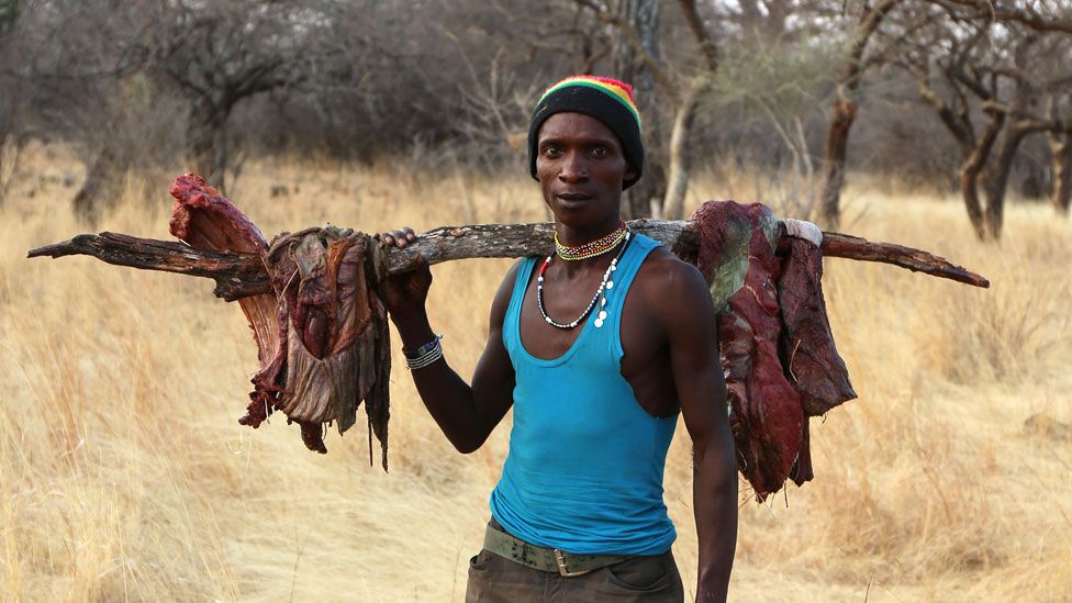 LA ALIMENTACIÓN DE LOS HADZA ES MUY SALUDABLE