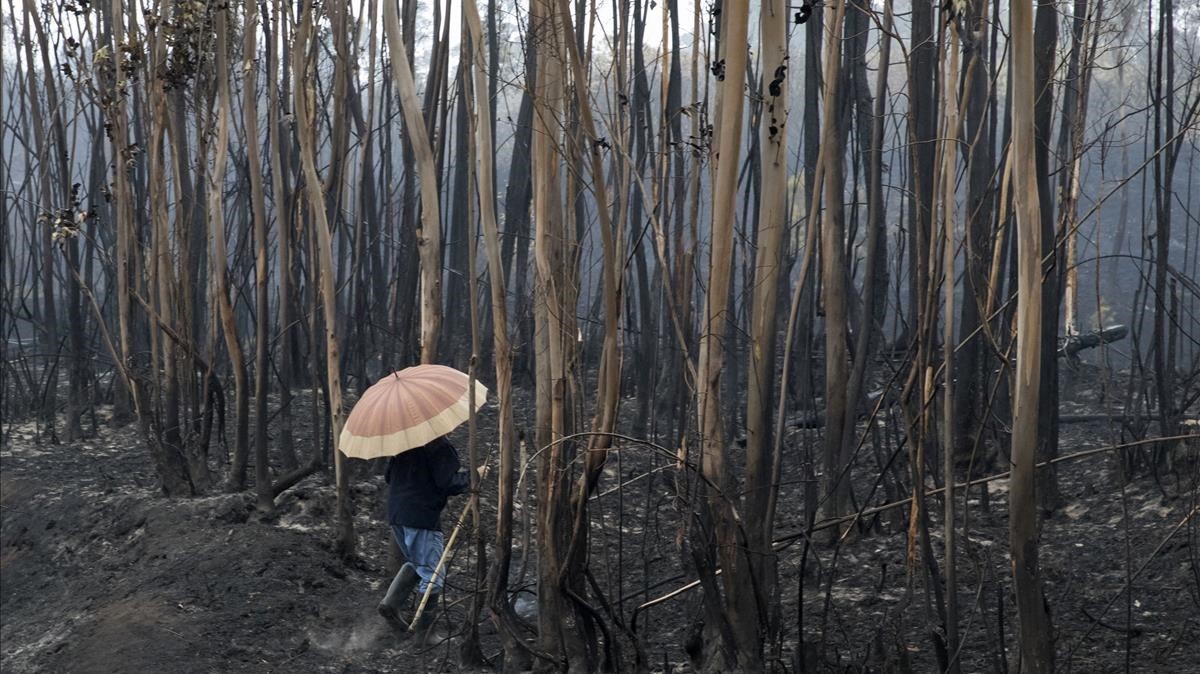 Y LLEGÓ UN POCO DE LLUVIA A LA ARDIENTE PENÍNSULA IBÉRICA