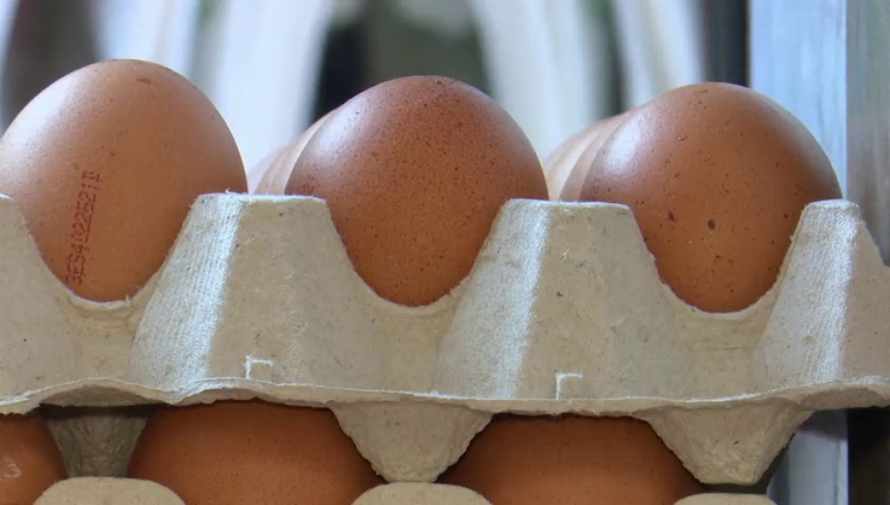 NOS ESTAMOS QUEDANDO SIN HUEVOS