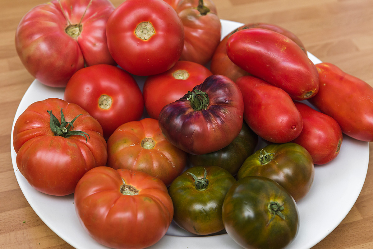 20180324 tomate 4