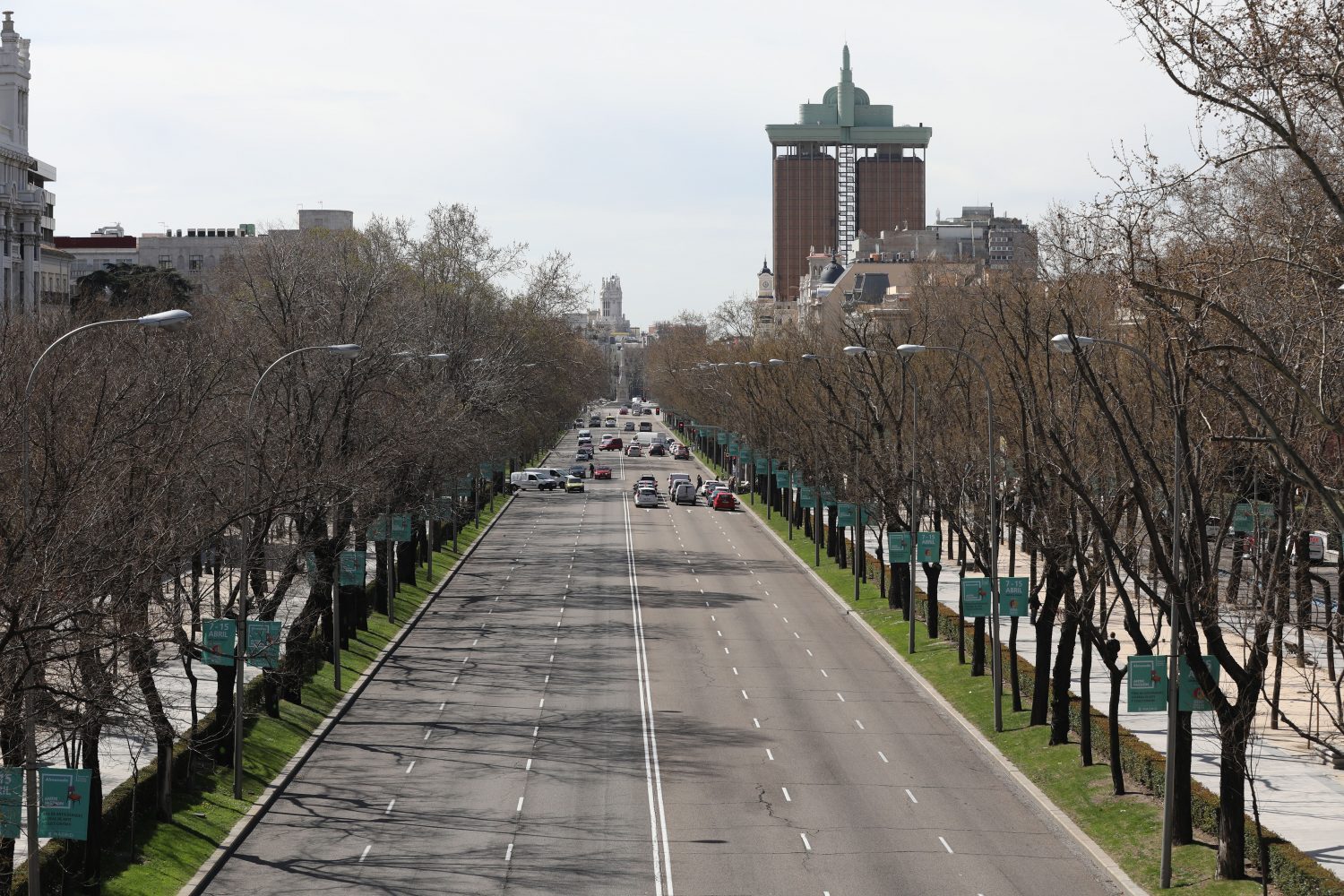 SE CORTA POR LO SANO CON LOS ÁRBOLES DE LA CASTELLANA