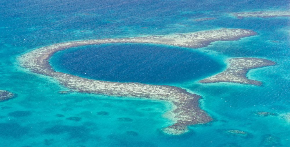 NOTICIA GOZOSA: SE RECUPERA UN ARRECIFE DE CORAL