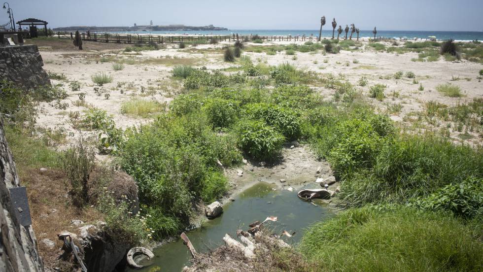 ESPAÑA LLEVA 17 AÑOS HACIENDOSE LA SUECA