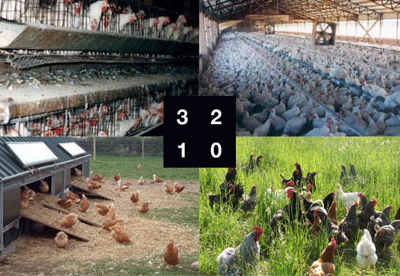 20180730XPRESS GALLINAS 3