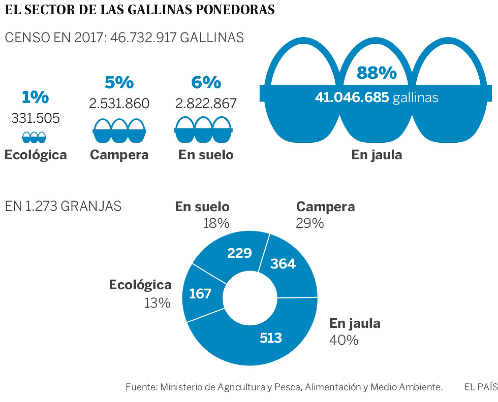 20180730xpress gallinas2