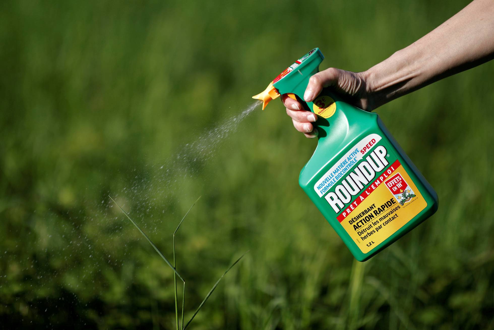 MONSANTO –QUE AHORA ES BAYER- MULTADO.