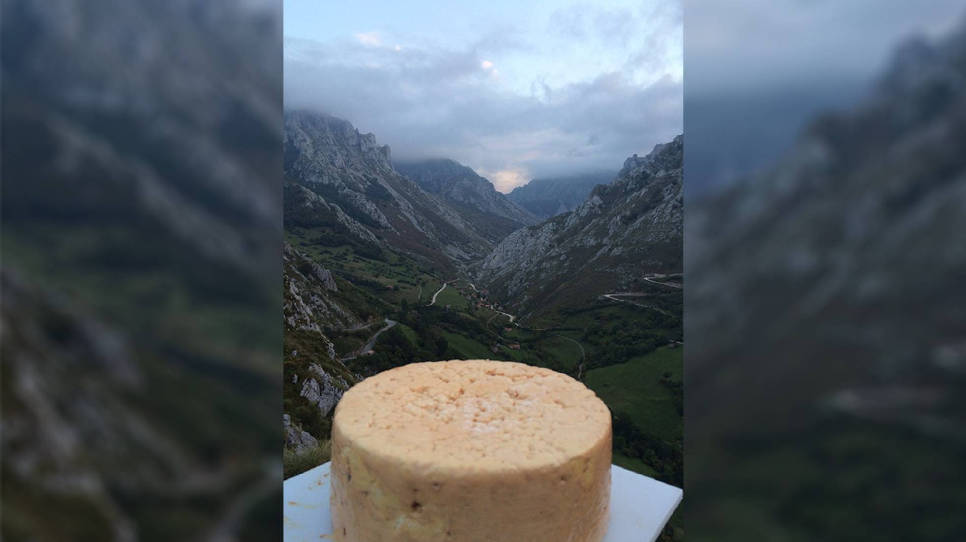QUESO DE CABRALES: RECORD DE PRECIO