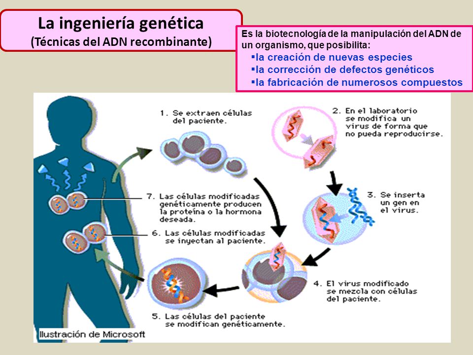 NOBEL DE QUIMICA: CREAR COSAS NUEVAS PARA SEGUIR IGUAL