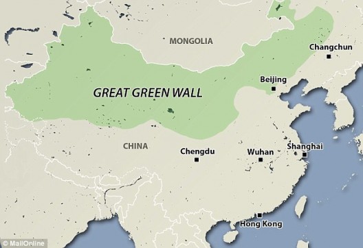 CHINA A LO GRANDE: LA GRAN REFORESTACIÓN
