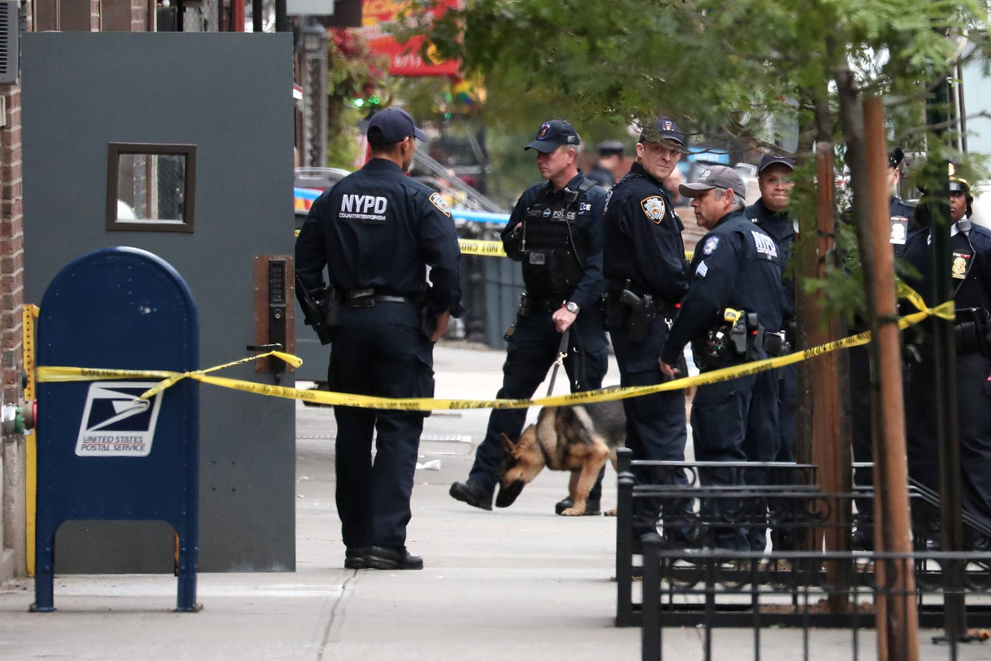 DETENIDO POR LOS PAQUETES BOMBA EN EEUU