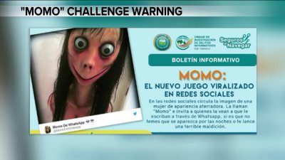 SUICIDIOS JUVENILES: ATRAPADOS EN LA RED
