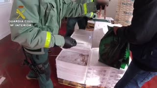 INMOVILIZADAS 153,5 TONELADAS DE CIGALAS EN GALICIA