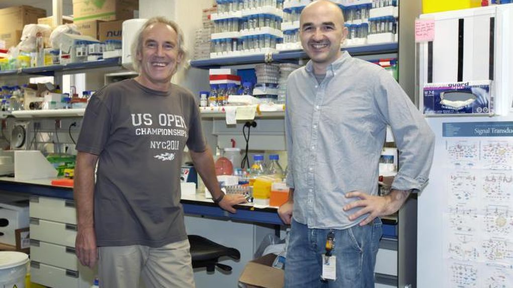 SE VA UNA EMINENCIA EN ONCOLOGIA PORQUE LE BAJAN EL SUELDO 70%
