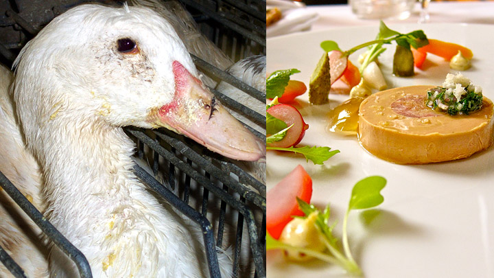 AU REVOIR, FOIE GRAS