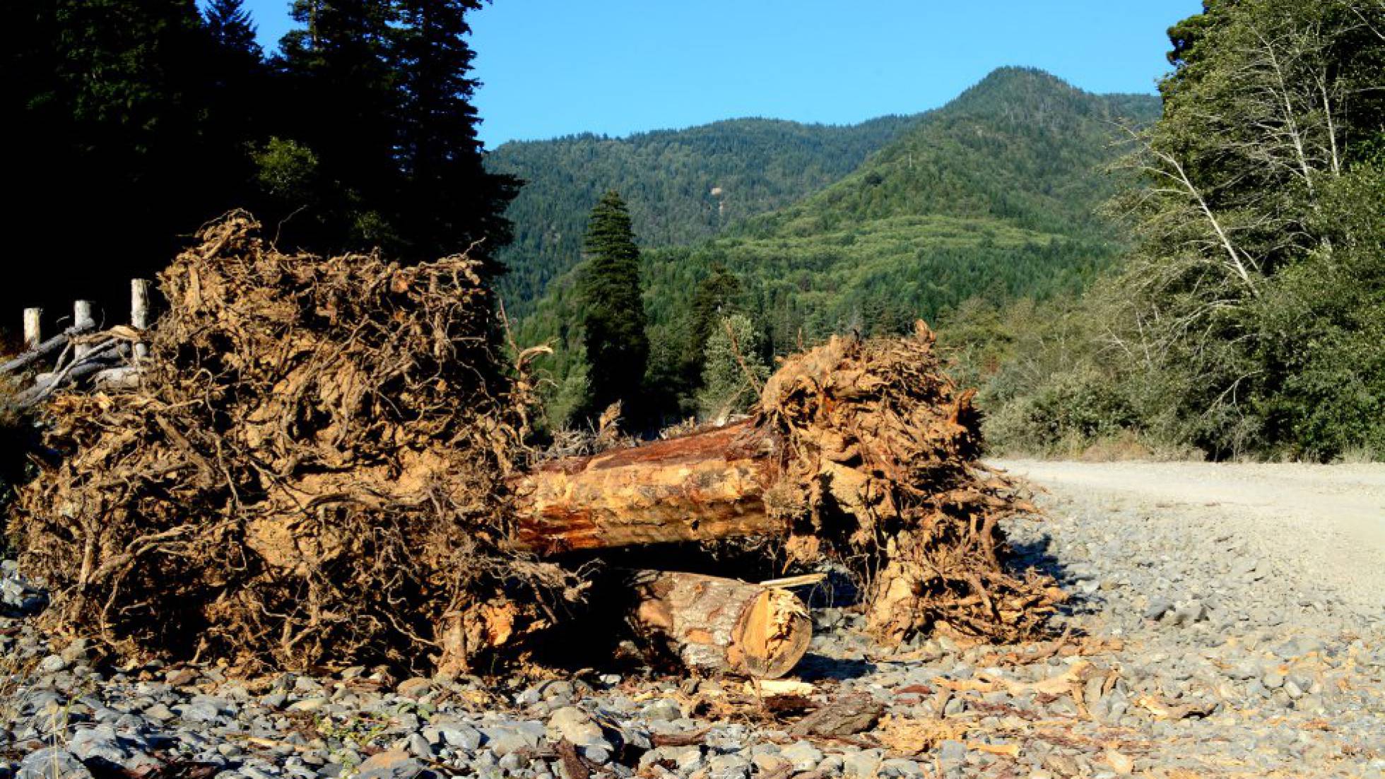 DERECHO AMBIENTAL: LEYES QUE NO SE CUMPLEN