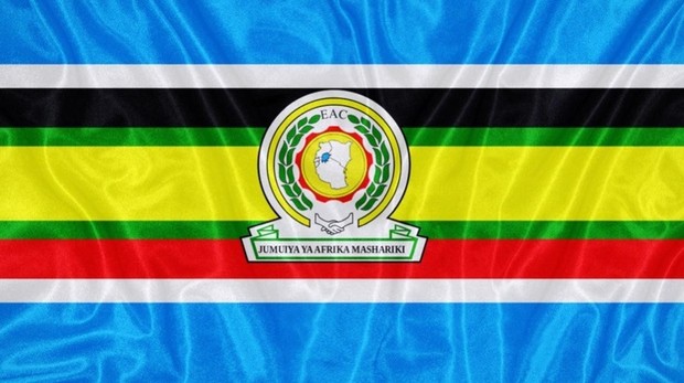 20190212 africa 4