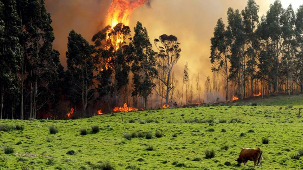 TREMENDOS INCENDIOS FORESTALES EN ASTURIAS