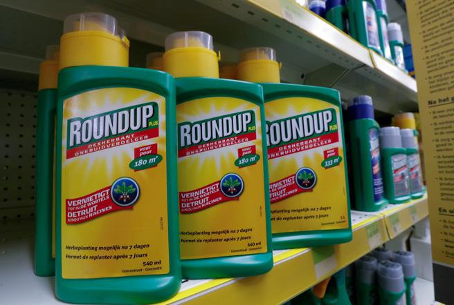 EL DESATINO DE MONSANTO: HERBICIDA CANCERÍGENO