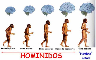 20190411 hminido3
