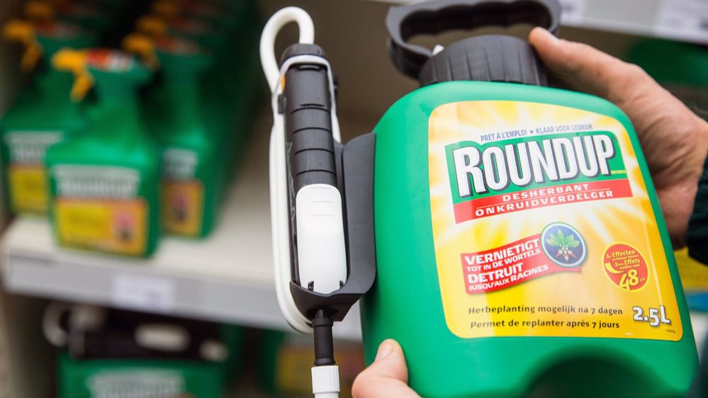 CASTIGO EJEMPLAR A MONSANTO