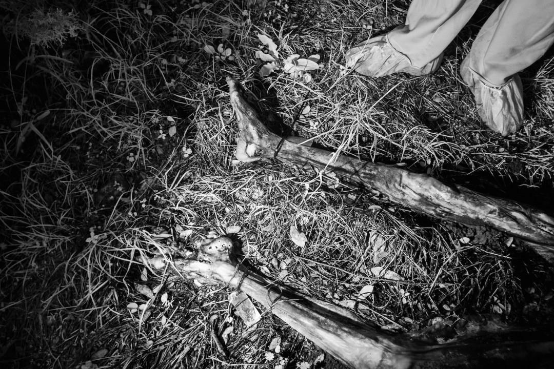 20190523 COMPOST 5