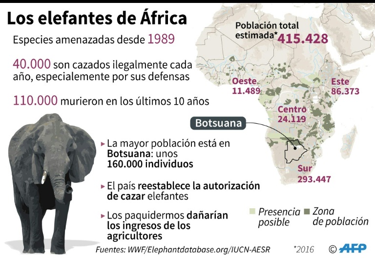 20190523 elefante 4