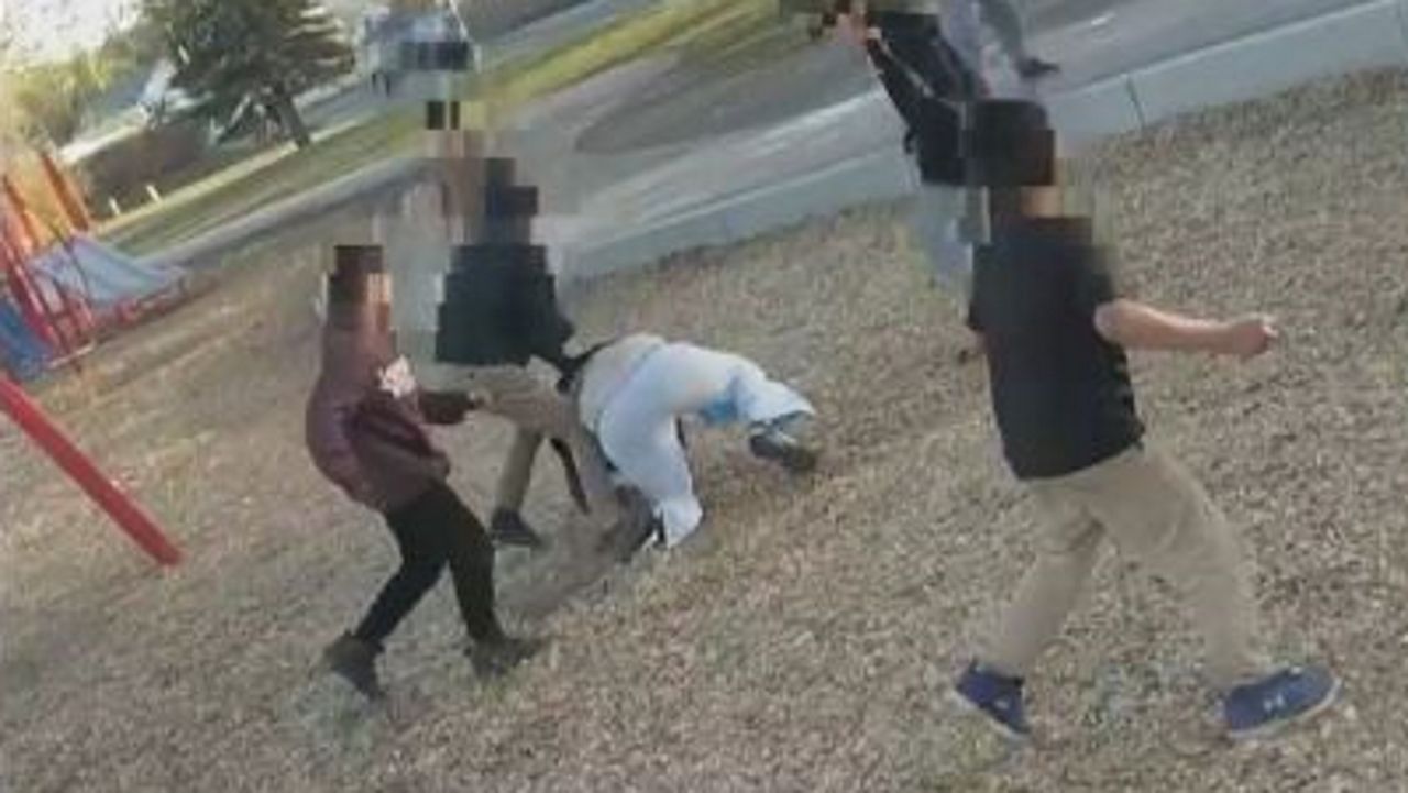 VIOLENCIA GRATUITA Y FALTA DE RESPETO POR DOQUIER