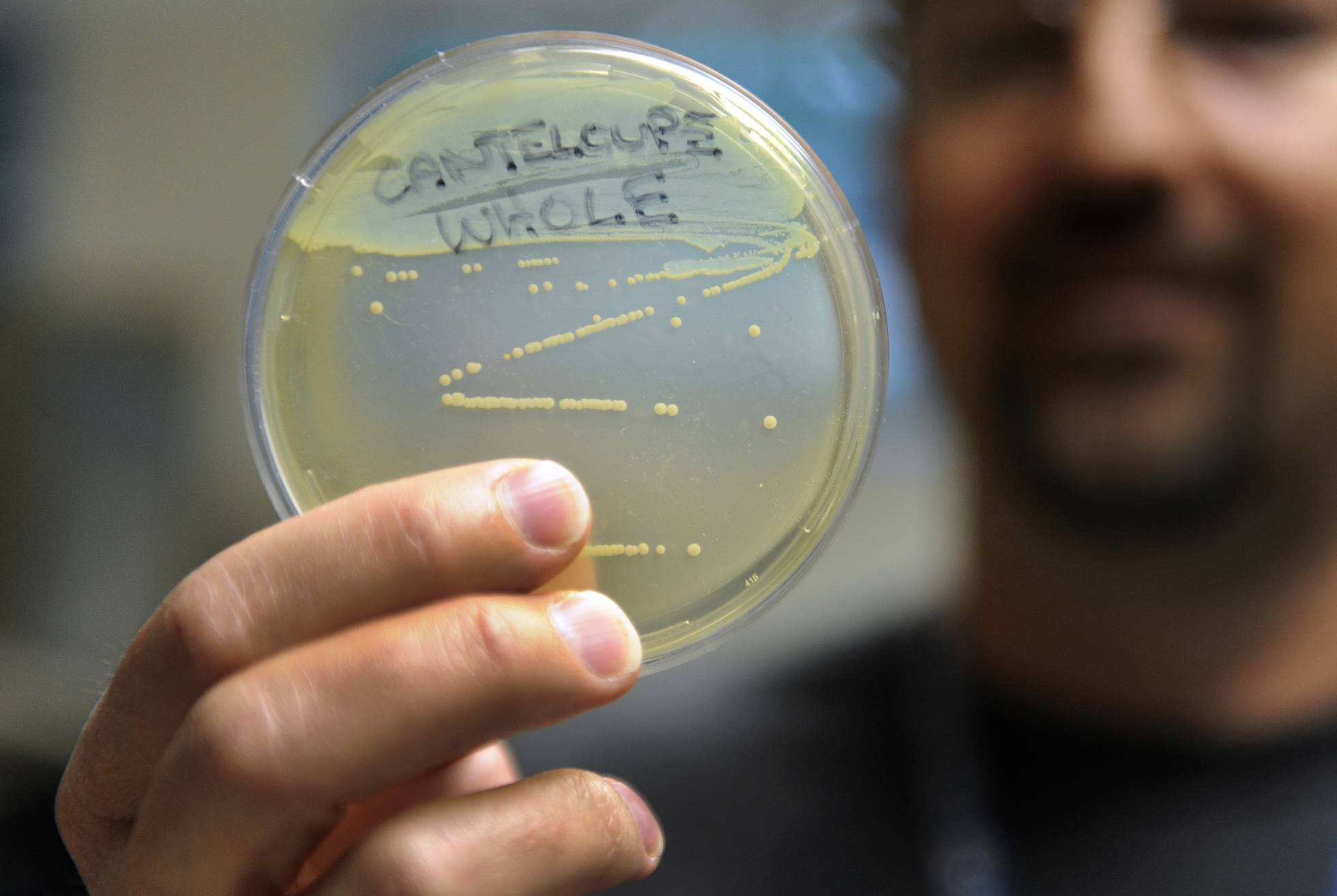20190617 listeria