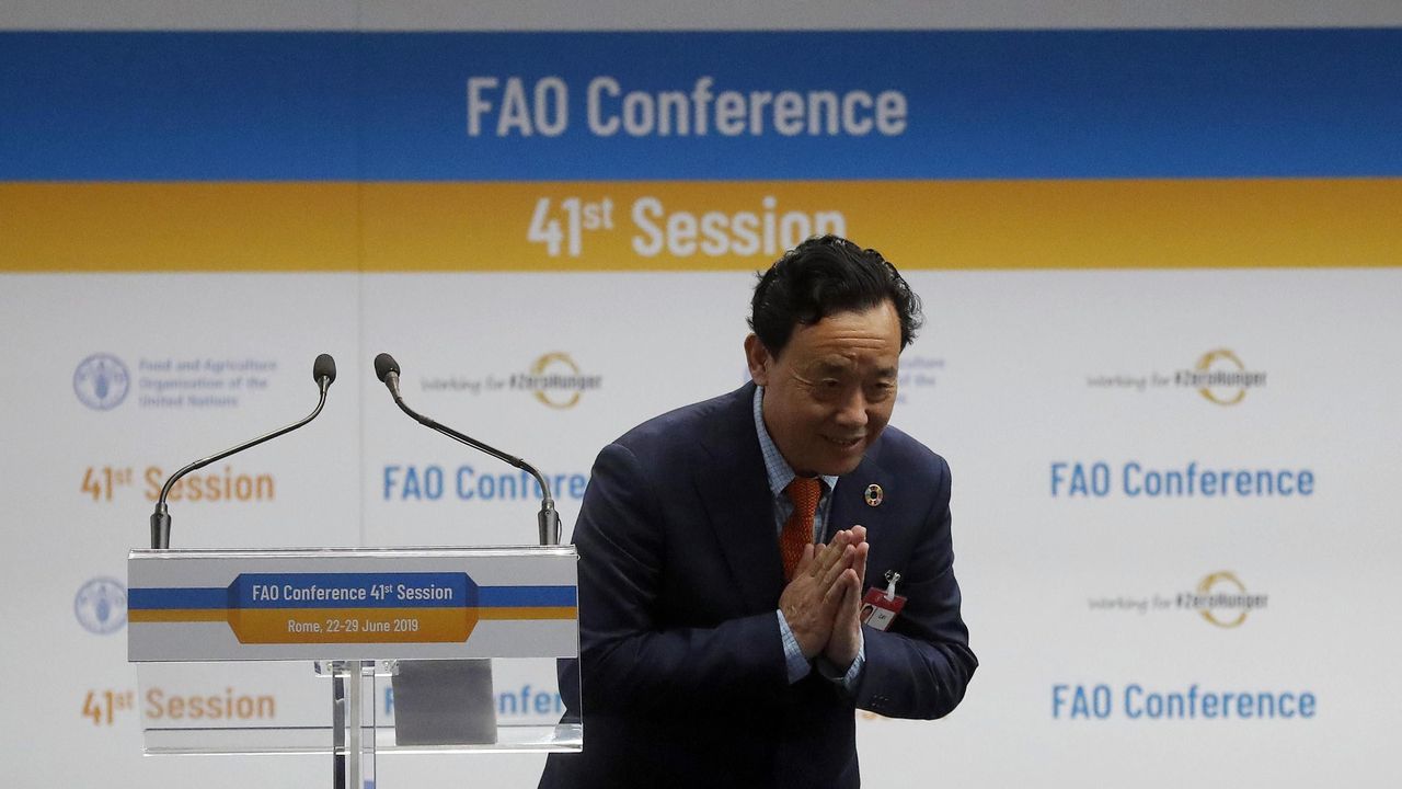 CHINA, AL FRENTE DE LA FAO
