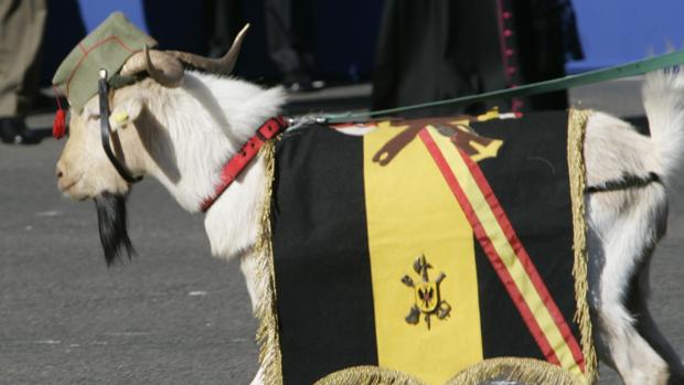 cabra legion desfile madrid kqAG 620x349abc
