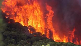 incendio.jp20190627 INCENDIOg