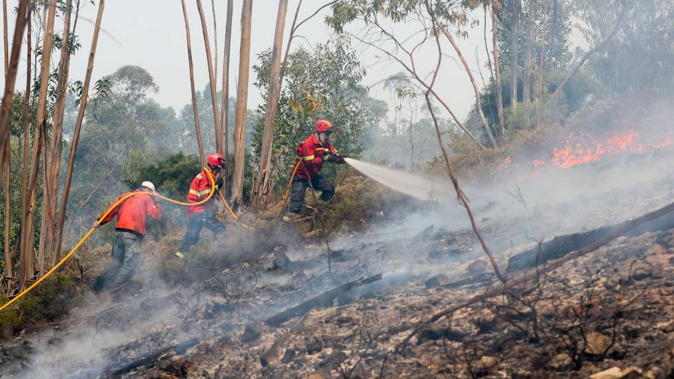 INCENDIOS EN PORTUGAL