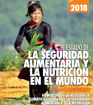 medium SOFI 20018