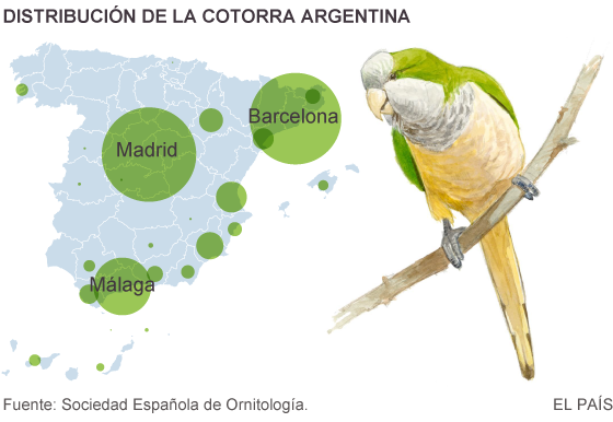 20191007 COTORRAS 2