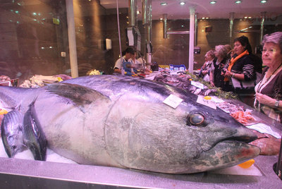 PESCADO3