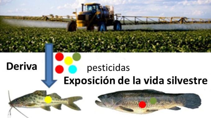 Pesticidas en peces