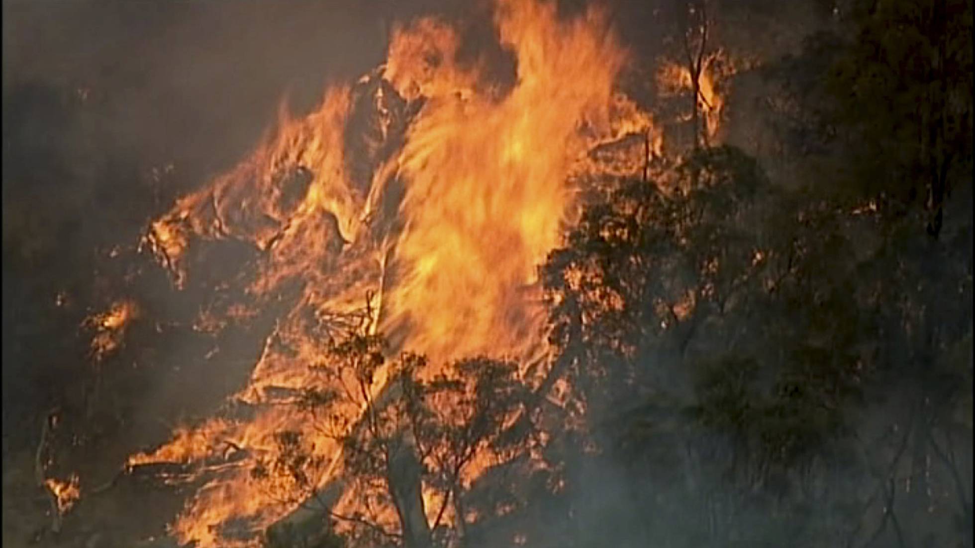 INCENDIOS EN AUSTRALIA