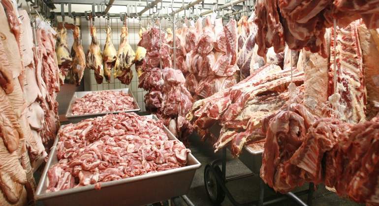Carne de cerdo alemana reuters 770