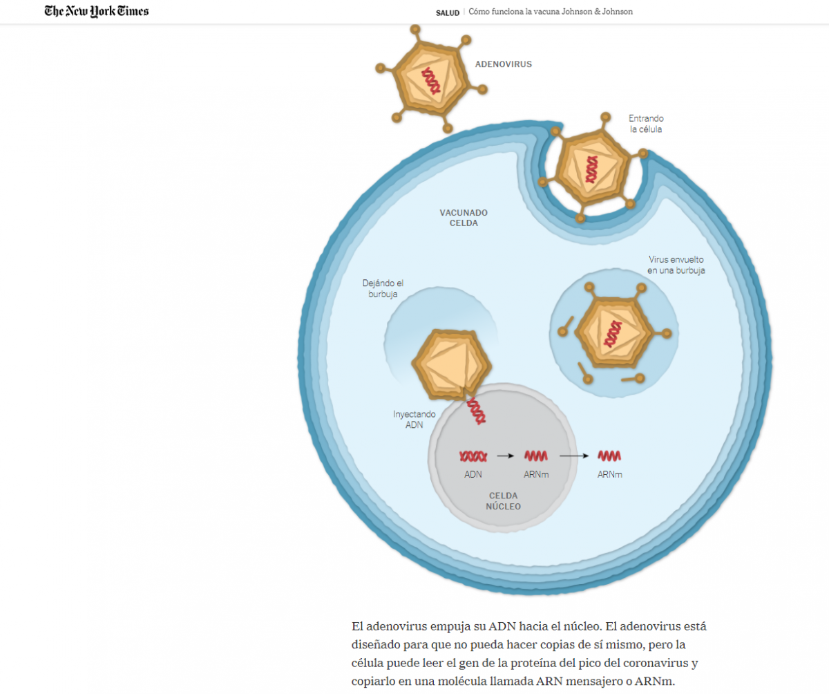 covid vaccine janssen nyt