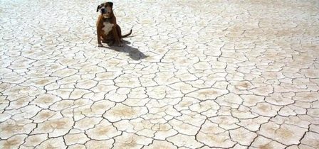 CALOR