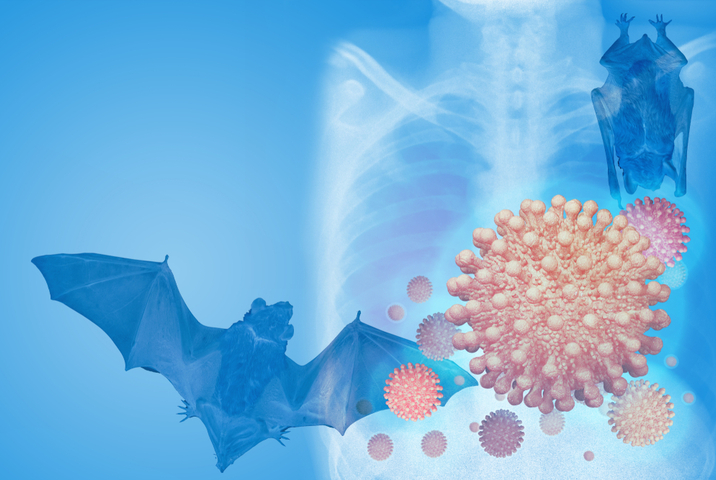 origen coronavirus