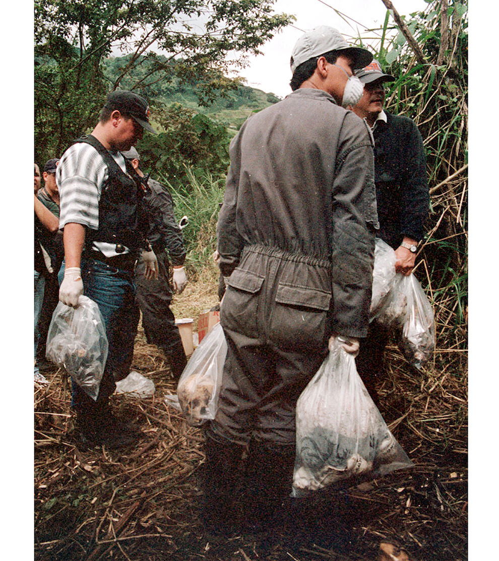VIOLADOR
