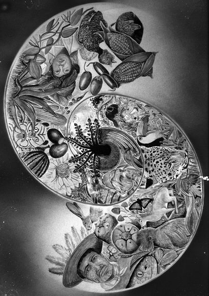 art Puche Antropologia scaled