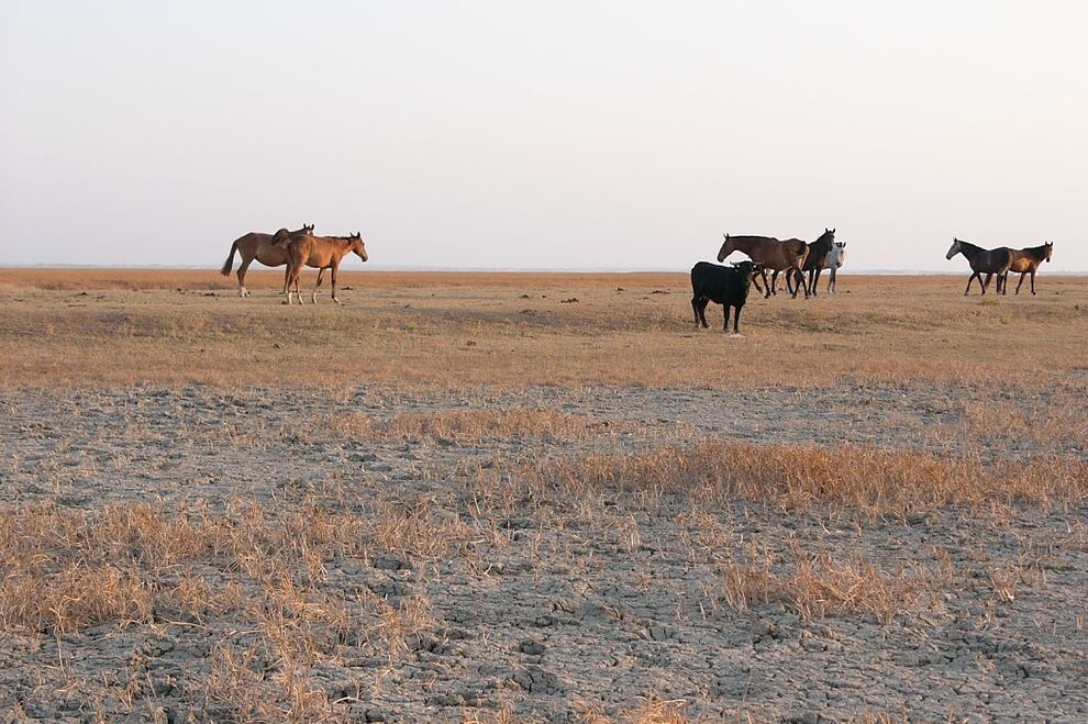 DOÑANA: PESO ESPECIFICO DE TERRATENIENTES… ACABARÁN CON EL COTO