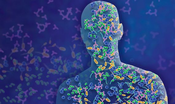 microbioma