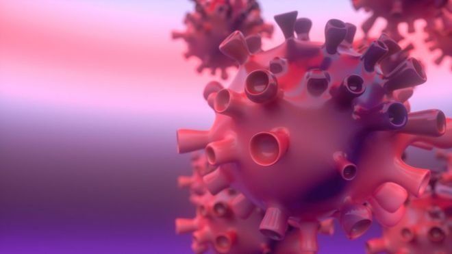 111374605 coronavirus
