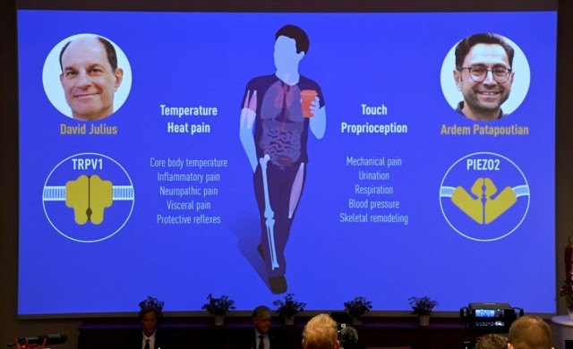 premio nobel medicina.jpg 976912859