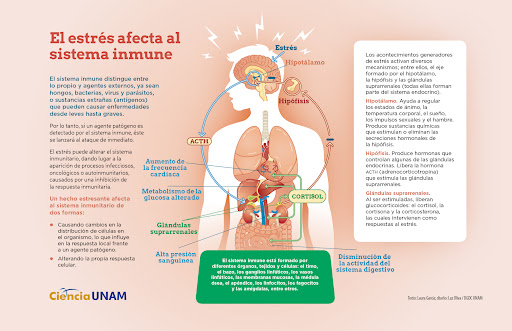 CONINAMIENTP
